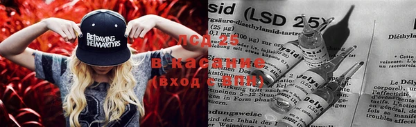 каннабис Алзамай