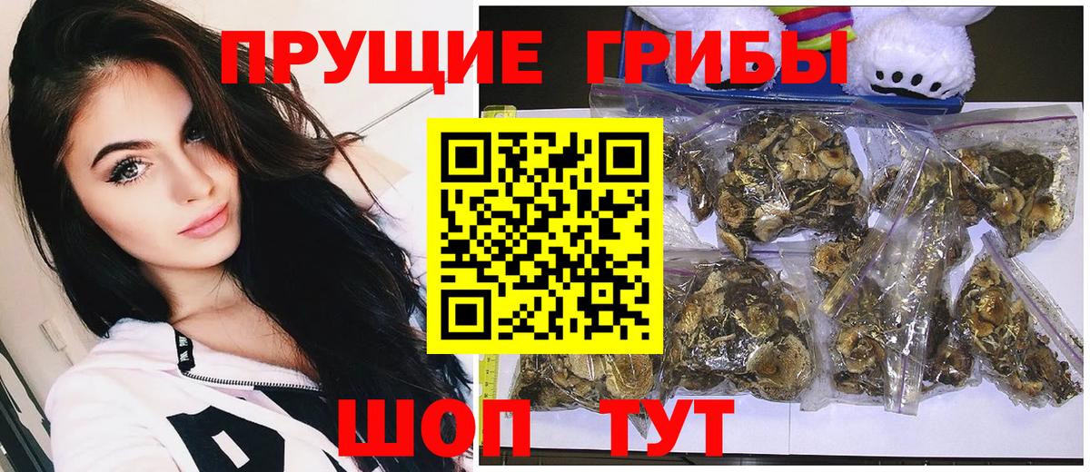 Псилоцибиновые грибы мухоморы Котлас