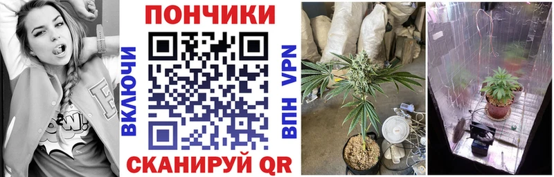 купить  цена  Котлас  кракен tor  Бошки марихуана OG Kush 